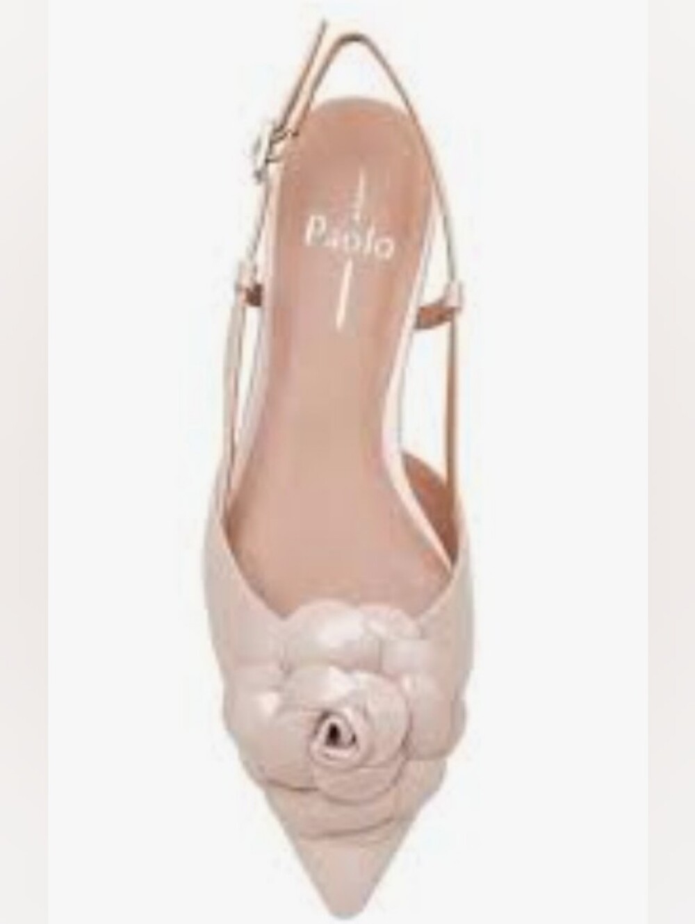 Linea PaoloElegant Rosette Flat: CAMMY STYLE STEALS Size 6